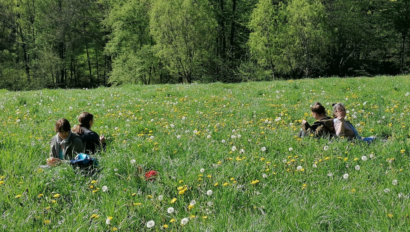 Mehrere Menschen sitzen auf einer Blumenwiese vor einem Wald